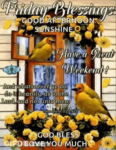 Friday Blessings Good Afternoon Sunshine GIF