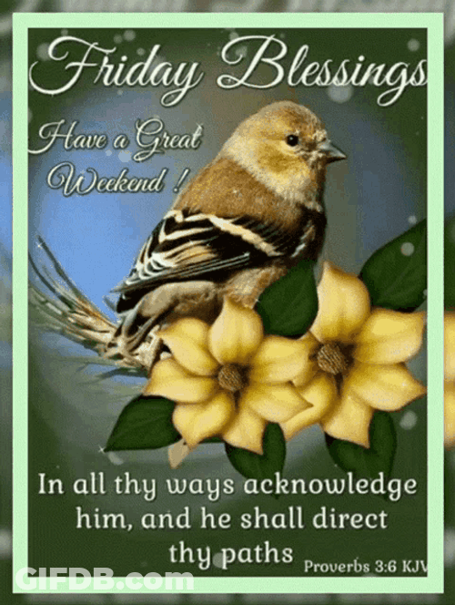 Friday Blessings In All Thy Ways Acknowledge Him GIF