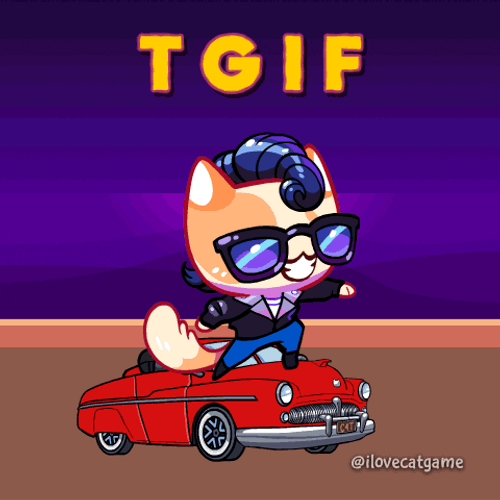 Friday Cat Catgame Riding A Car GIF