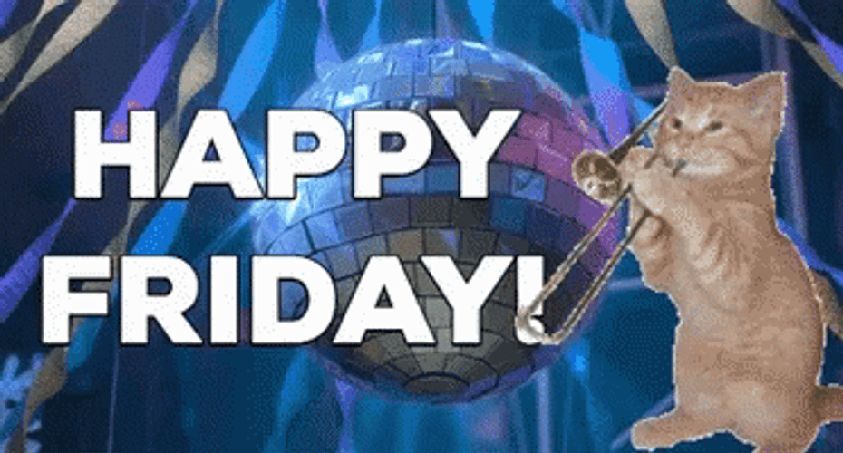 Friday Cat Playing Trumpet GIF