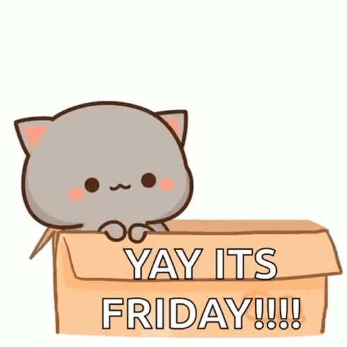 Friday Cat Qubi Stickers In A Box GIF