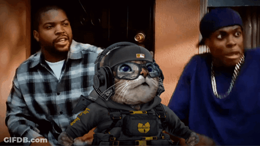 Friday Damn DJ Kitty Meme GIF