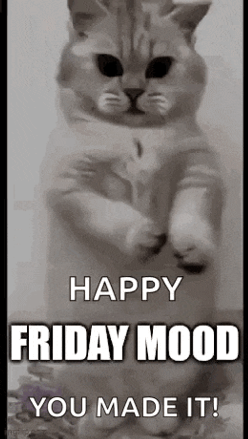 Friday End Of The Week GIF