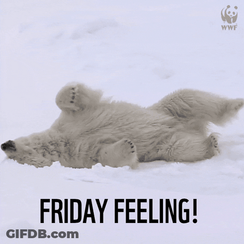 Friday Feeling Polar Bear Funny GIF