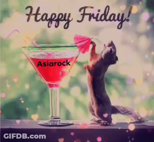 Friday Funny Squirrel GIF