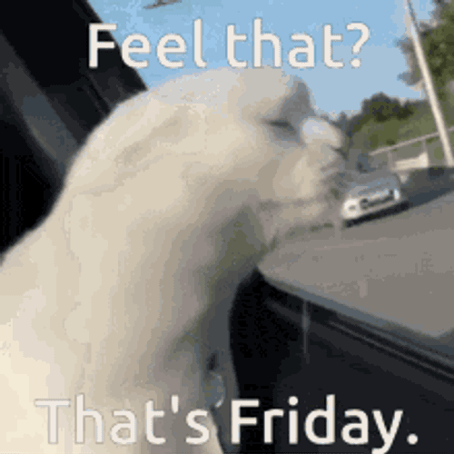Friday GIF