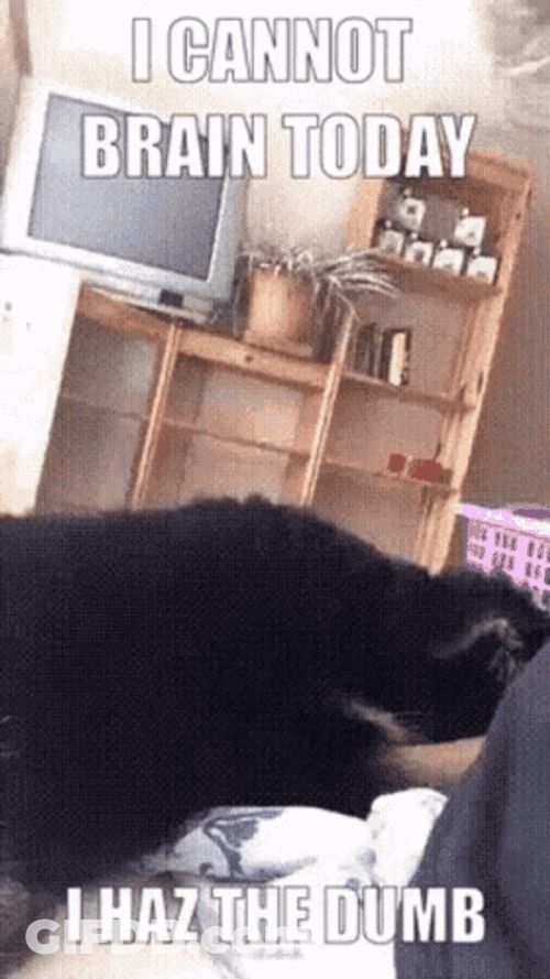 Fried Brain Dog GIF