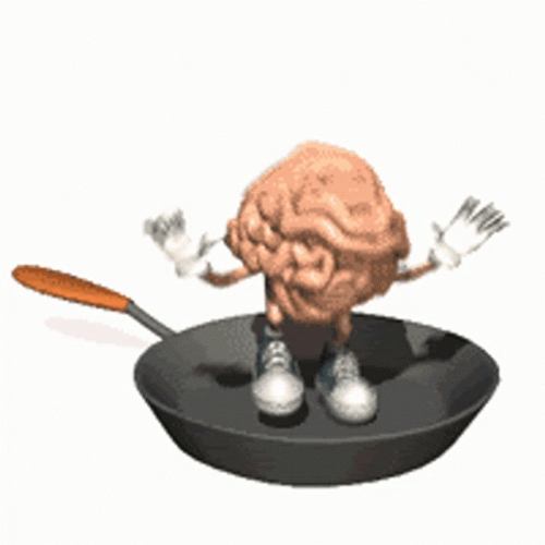 Fried Brain On Fry Pan GIF