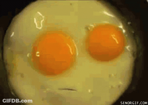 Fried Egg Close Up Senorgif GIF