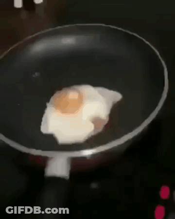 Fried Egg Cooking In Pan GIF
