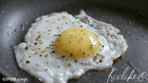 Fried Egg With Kixlife Text GIF