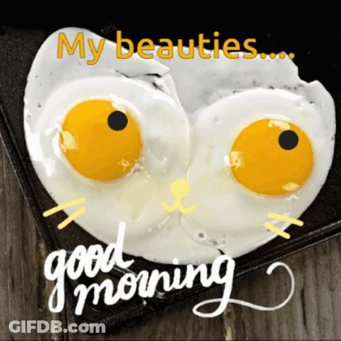 Fried Eggs In The Shape Of A Cat With The Words My Beauties Good Morning GIF