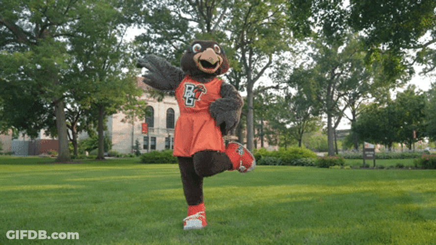 Frieda The Falcon GIF