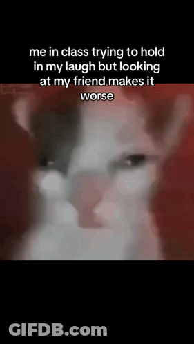 Friend GIF