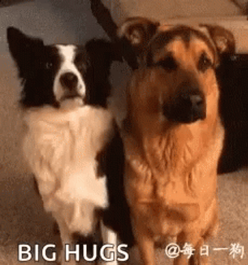 Friend Hug Dog Tongue Sticking Out GIF