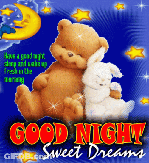 Friends Bear And Rabbit Have A Great Night GIF