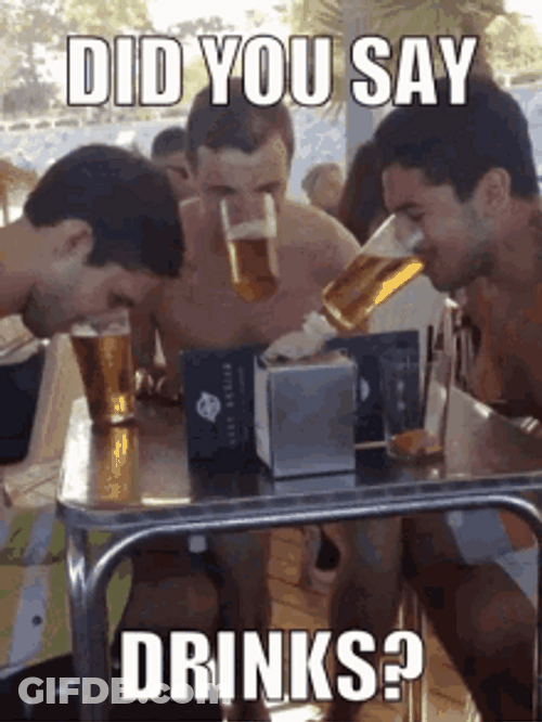 Friends Drinking Did You Say Drinks GIF