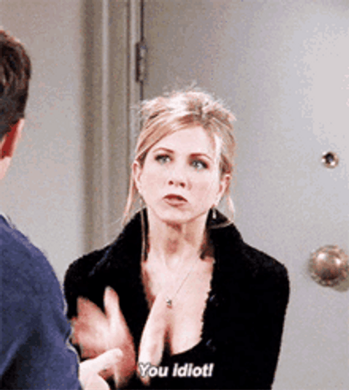 Friends Monica Irritated Stupid People Mad GIF