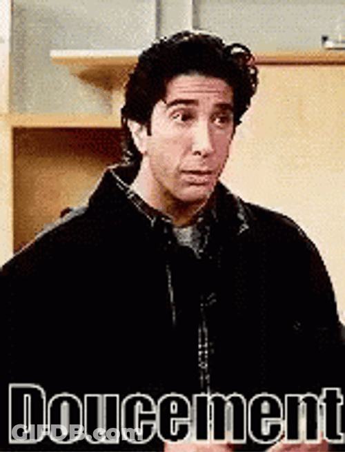 Friends Ross Doucement Slow Down GIF