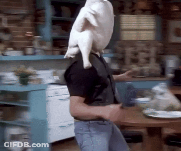 Friends Thanksgiving Turkey Joey Stumbling GIF