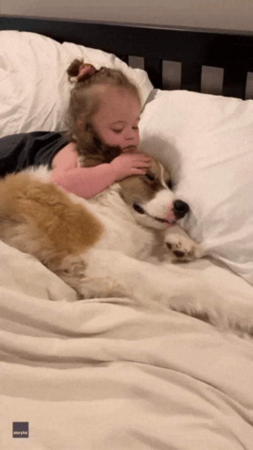 Friendship Day Of Dog And Baby Girl GIF