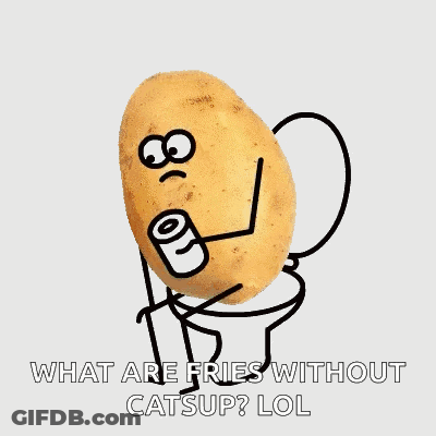 Fries Ketchup What Are Fries Without Catsup Lol GIF