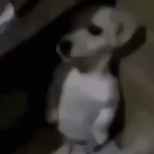 Frightened Puppy Standing In The Corner GIF