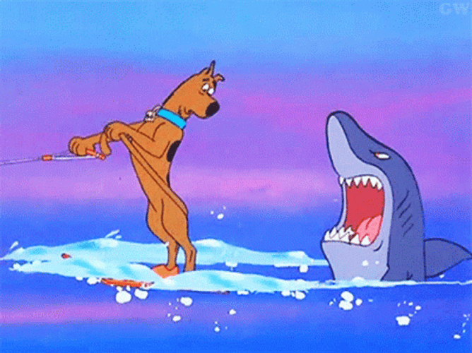 Frightened Scooby Doo Chased By Shark GIF