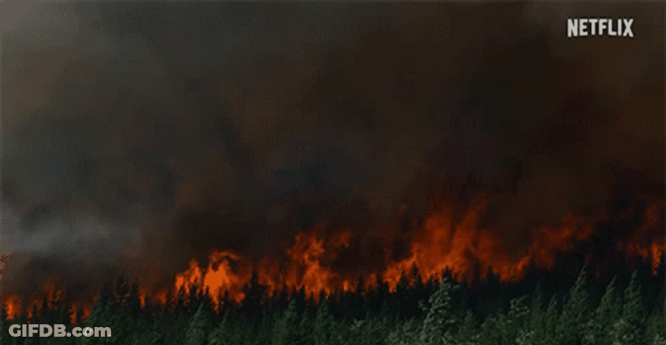 Frightening Wildfire Burning Inferno GIF