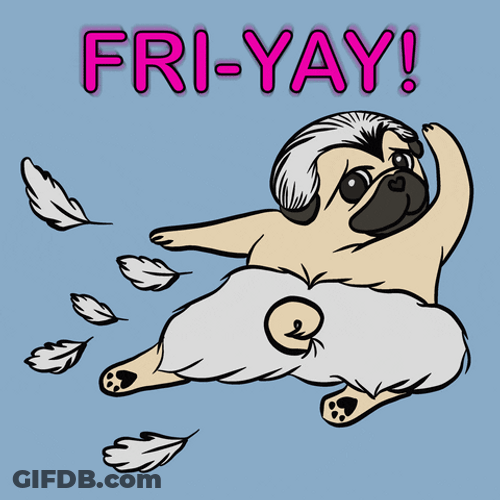 Friyay Fly Day Dog Ballet Dance Feathers GIF
