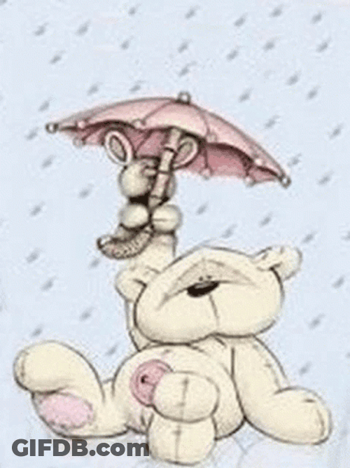 Frizzy Moon Bear On This Rainy Monday GIF