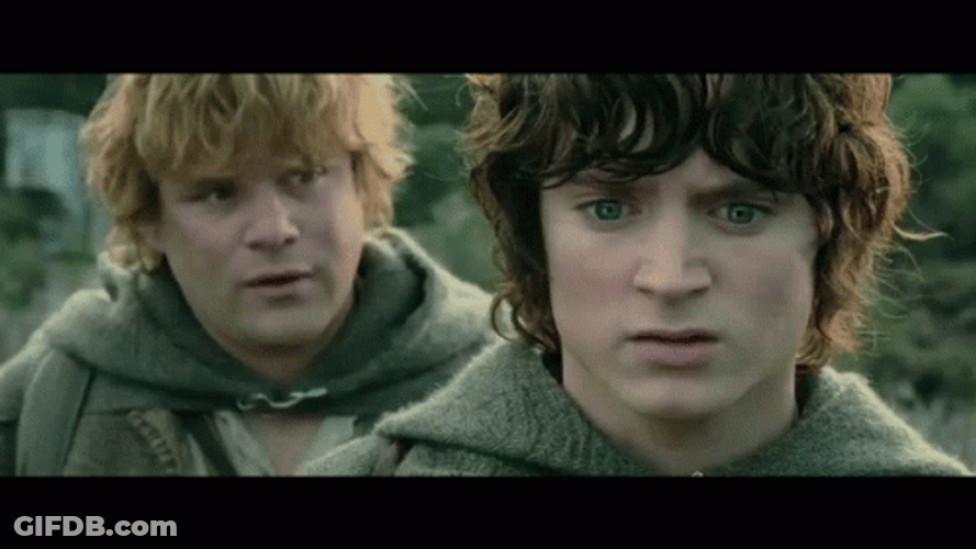 Frodo Baggins Facing Samwise Gamgee GIF