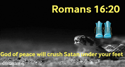 Frog And Blue Boots With Romans 16:20 GIF
