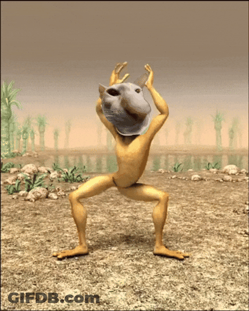 Frog Cat Dancing Meme GIF