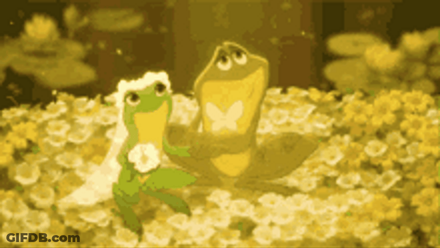 Frog Couple Wedding GIF