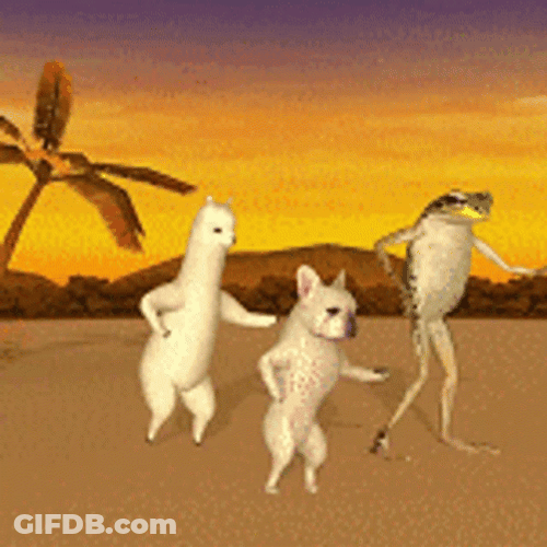 Frog Dancing Funny Animals GIF