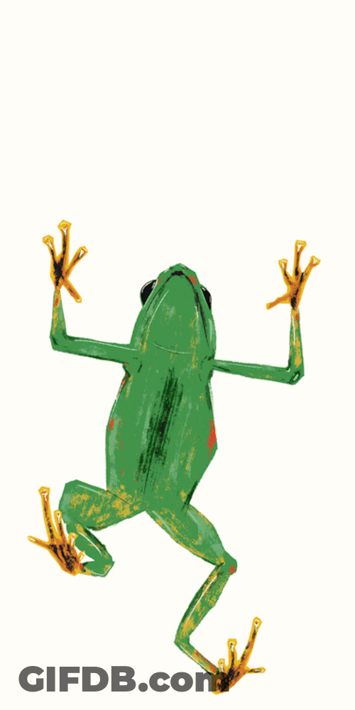 Frog Eat Mosquito GIF