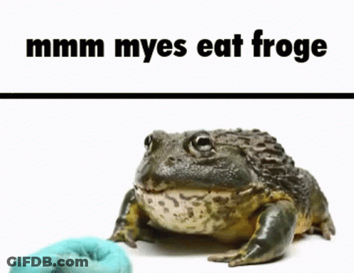 Frog Eating Meat Saying Mmmm Myes Eat Froge GIF