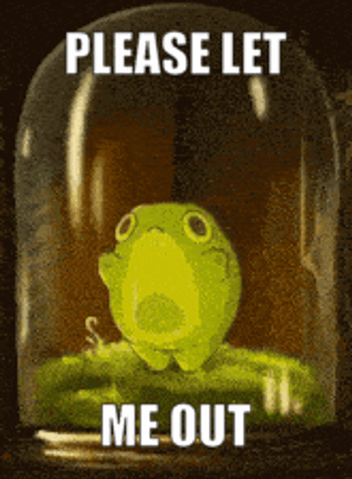 Frog Frog House GIF