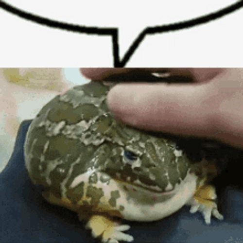 Frog Fun Massage GIF