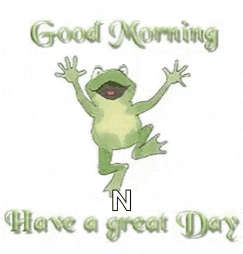 Frog Good Morning Have A Great Day GIF