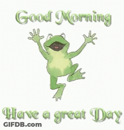 Frog Good Morning Thursday Funny GIF