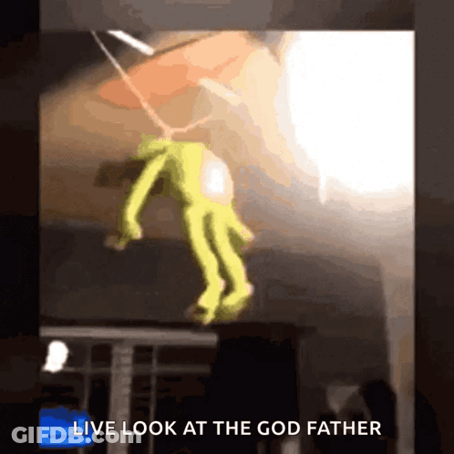 Frog Hanging From Ceiling Live Look At Godfather GIF