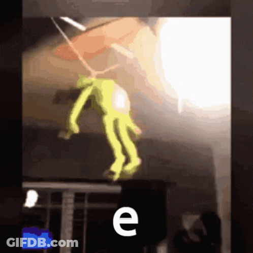 Frog Hanging From Ceiling With Letter E GIF