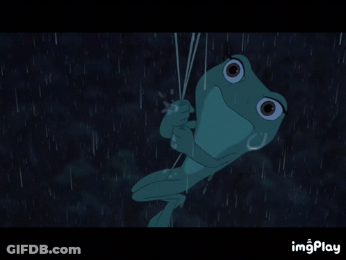 Frog Hanging From Rope In Rain GIF