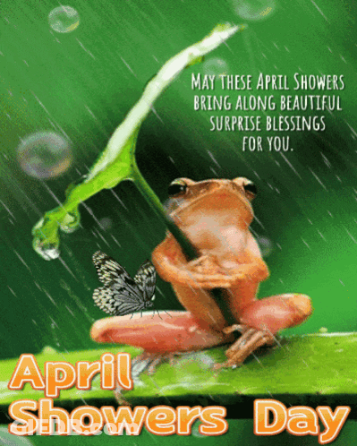Frog Holding Leaf April Showers Card GIF