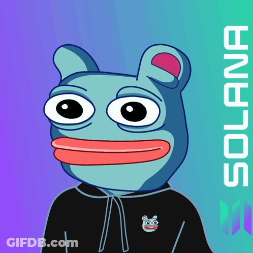 Frog In Black Hoodie With Solana GIF