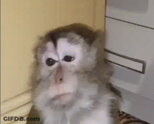 Frog In $ Bored Shirt Kicking Soccer Ball On Field GIF