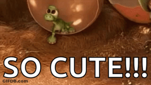 Frog In Bubble Saying So Cute GIF