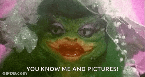 Frog In Wedding Dress And Veil GIF